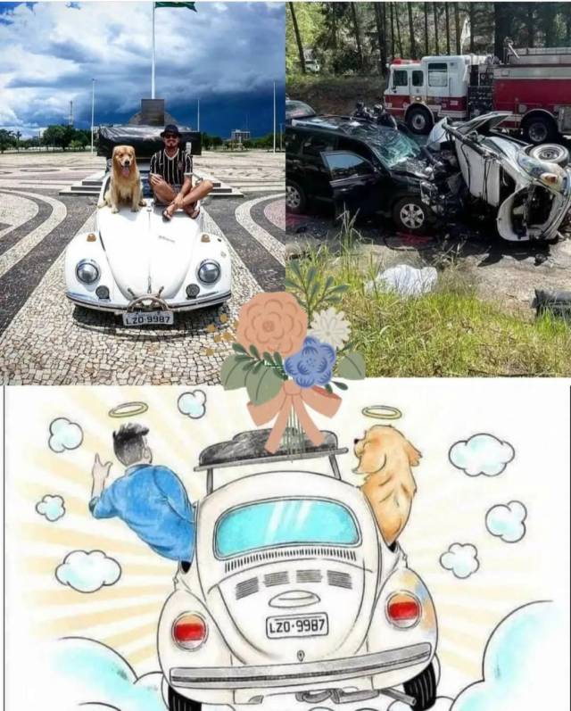 Influencer Jesse Koz Y Su Perro Mueren En Tr Gico Accidente Poco