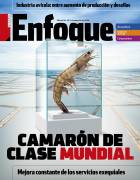 Portada de Revista Enfoque