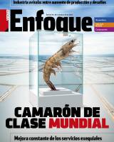 Portada de Revista Enfoque