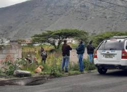 Los cuerpos del niño y el adulto fueron hallados colgados de un árbol.