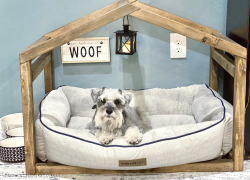 Eligiendo la cama ideal para nuestras mascotas