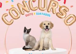 ¡Participa en el concurso de Mascotas de Vistazo en Quito y Guayaquil!