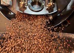 Granos de café en el proceso de tostado.