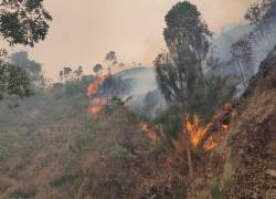 Imágenes aéreas del incendio forestal en el cantón Quilanga, provincia de Loja.