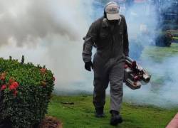 Municipio de Guayaquil realiza jornadas de fumigación en toda la urbe.