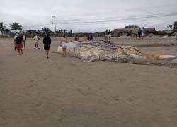 Turistas y moradores contemplan la ballena varada en la playa de Monteverde, en la provincia de Santa Elena.