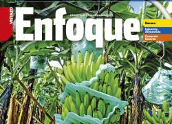 Revista Enfoque Edición 67 septiembre 2024