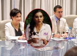 La ministra de Relaciones Exteriores, Gabriela Sommerfeld, también rechazó las acusaciones de persecución política contra Abad.