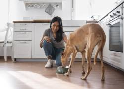 Una mujer alimentando a su perro.