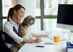 Una joven trabajando en su oficina junto a su perrito.