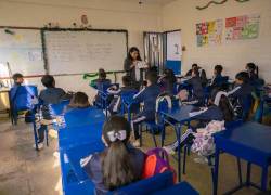 Nuevas inserciones curriculares se aproximan en el sistema educativo de Ecuador.