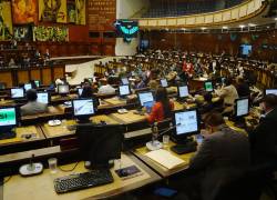 Quito, jueves 30 de octubre del 2024 VotaciÃ³n de la conformaciÃ³n de la ComisiÃ³n Especializada Ocacional para la instalaciÃ³n de bases Militares Extranjeras en el paÃ­s en el pleno de la Asamblea Nacional. Fotos:API / API