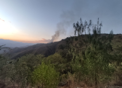 El flagelo en la parroquia San Antonio de las Aradas ha destruido pajonales y vegetación nativa de la zona.