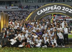 Botafogo es el decimosegundo equipo brasileño en ganar la Copa Libertadores de América.