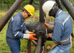 El requerimiento de informes sobre el Campo Sacha se amplió al gerente (s) de Petroecuador, Roberto Concha.