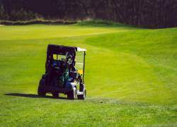 Un niño de 3 años al volante de un carro de golf mata a uno de siete años en Florida.