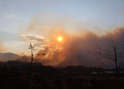 Fotografía que muestra el incendio forestal en Pifo, por el Valle de Tumbaco.