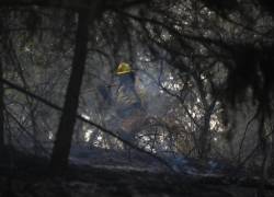 Bomberos cortan madera tras extinguir un incendio el pasado jueves, en las laderas de la elevación conocida como El Panecillo.