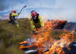 Se estima que más del 90% de incendios forestales en Ecuador son provocados por los seres humanos.