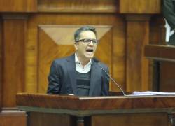 Quito, Ecuador: 17 de julio de 2024.- Wilman Terán, expresidente del Consejo de la Judicatura, durante su comparecencia en la Asamblea Nacional.