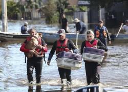 Los emotivos rescates de animales durante las inundaciones en Porto Alegre, Brasil