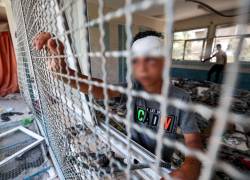 Un niño herido se encuentra junto a la celosía de una ventana en un aula destruida donde se refugiaban personas en una escuela dirigida por la Agencia de Obras Públicas y Socorro de las Naciones Unidas para los Refugiados de Palestina (OOPS) que anteriormente fue atacada por bombardeos israelíes, en el campo de Nuseirat, en el centro de la Franja de Gaza. el 7 de junio de 2024