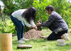 Life Urns ofrece urnas naturales y biodegradables para quienes optan por la cremación no solo de sus familiares, sino también para sus mascotas.