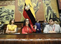 Viviana Veloz (en el medio) desde el escritorio de la presidencia de la Asamblea Nacional.