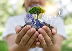 La economía circular se basa en tres principios: eliminar residuos y contaminación, mantener productos y materiales en uso, y regenerar sistemas naturales.