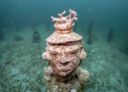 Coral crece en una escultura en el museo submarino MUSZIF en Isla Fuerte, departamento de Bolívar, Colombia, el 22 de mayo de 2024.