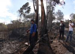 Los incendios no paran en Ecuador, las consecuencias son devastadoras.