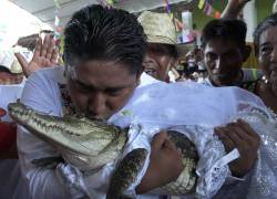 Alcalde mexicano contrae matrimonio con un caimán hembra en ritual ancestral.