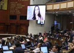 La vicepresidenta habló en el pleno de la Asamblea.