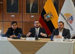 Fotografía de archivo del presidente Daniel Noboa y la Asamblea Nacional.