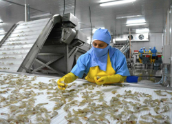 China levanta suspensión a exportaciones de nueve empresas ecuatorianas de camarón