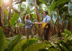 De enero a julio de este año Banco Pichincha desembolsó más de 170 millones de dólares en BIO Créditos dirigidos a la agricultura sostenible.