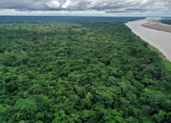 La región amazónica es fundamental para el planeta pues es considerada como un pulmón para el mundo, cuyo deterioro avanza sin control.