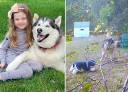 Fotografía de la niña junto a Gunnar, el perro del que es gran amiga.