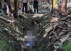 Fotografía de la hondonada donde fue hallado el cadáver del hombre desaparecido.