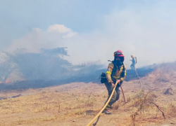 Fotografía que muestra a dos elementos del Cuerpo de Bomberos de Quito combatiendo uno de los incendios forestales reportados en la ciudad este miércoles.