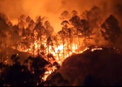 Captura de video que muestra el avance del incendio forestal en Quilanga.