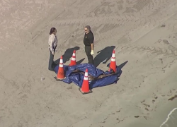 Fotografía del sitio de la playa en donde fue hallada la cabeza.