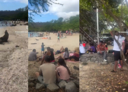 Capturas del video que mostró el comportamiento inadecuado de turistas en la playa Mann.