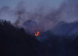 El incendio forestal del Cerro Azul, en Guayaquil, afectó 36 hectáreas. Este tipo de emergencia se acrecentó debido a la falta de lluvias.