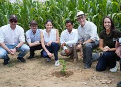 En la finca cacotera Yonida del cantón Vinces se sembró el árbol número 500.000 del programa Plan Cacao de Nestlé.