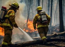 El implicado fue detenido en el lugar, mientras que el Cuerpo de Bomberos logró sofocar el incendio.