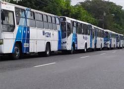 Se ha evidenciado una notable reducción en la frecuencia de las unidades de transporte público.