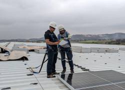 A pesar de que la recuperación de la inversión puede tardar hasta 10 años, grandes corporaciones del sector industrial y comercial siguen apostando por proyectos eléctricos y fotovoltaicos.