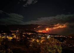 Incendio forestal devasta 120 hectáreas de vegetación en Azuay y sigue activo
