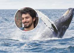 VIDEO | 'Pensé que me había tragado': Adrián Simancas contó cómo fue engullido brevemente por una ballena en Chile